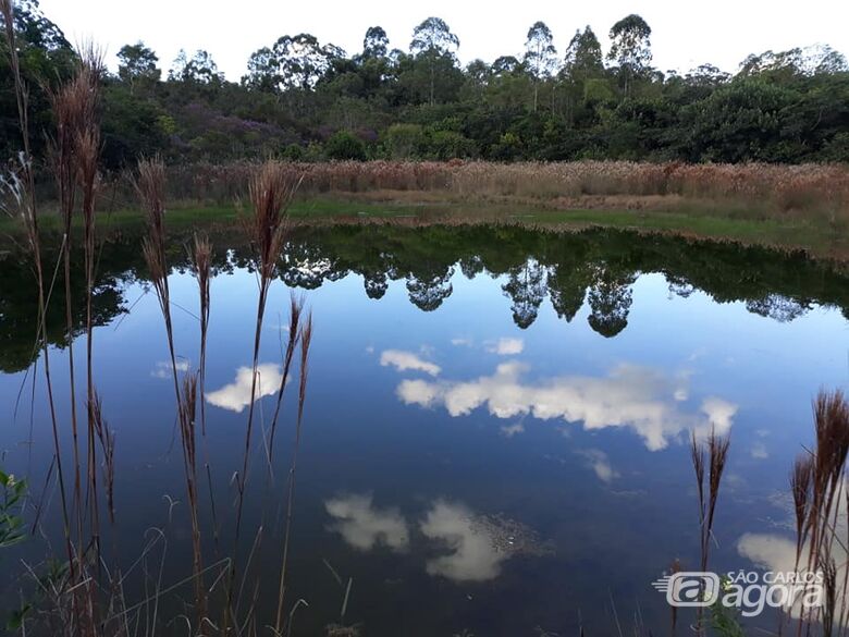 Visita monitorada ao Cerrado celebra Dia Mundial do Planeta Terra - Crédito: Trilha da Natureza/UFSCar