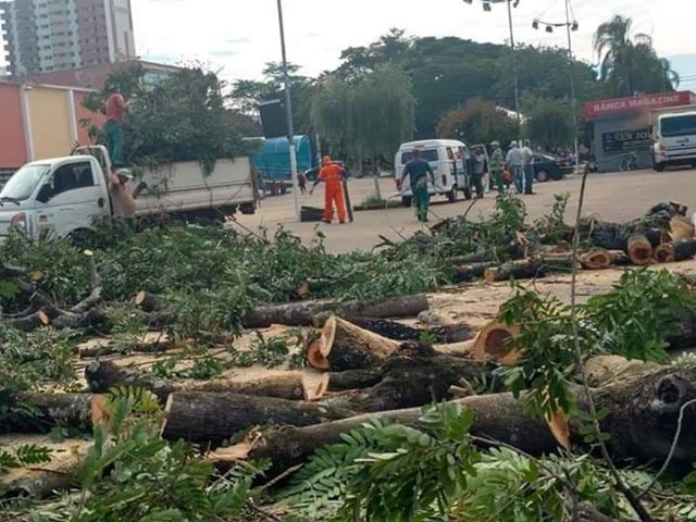 Prefeitura retira árvores da Praça do Mercado Municipal - Crédito: Juliana Piovesan/Colaboração