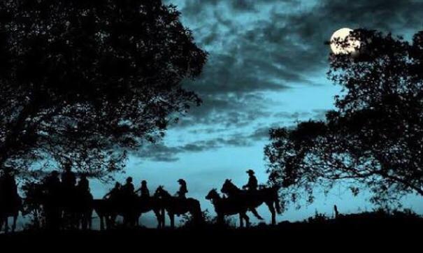 Comissão Paixão Sertaneja organizará primeira cavalgada noturna de São Carlos - Crédito: Divulgação