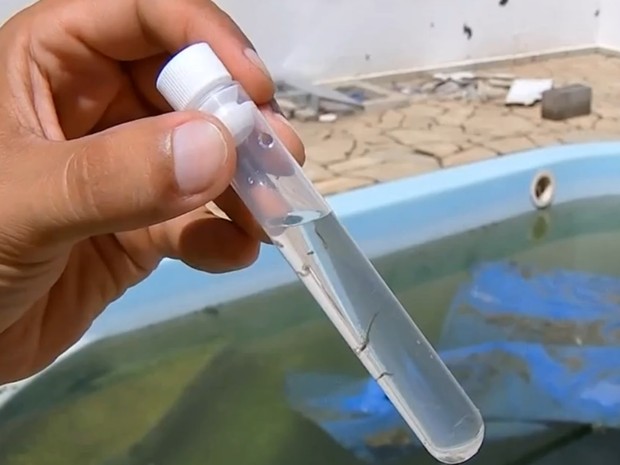 São Carlos tem 255 casos de Dengue confirmados -