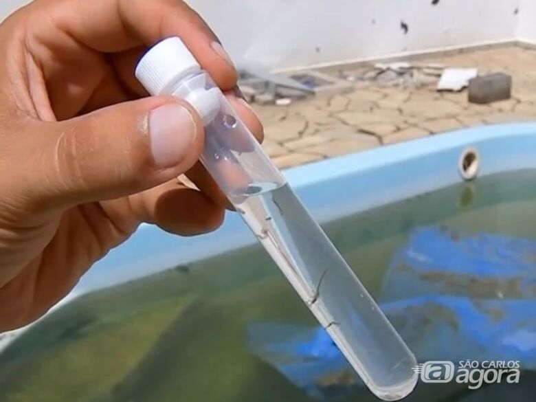 Vigilância epidemiológica confirma 340 casos de Dengue em São Carlos -