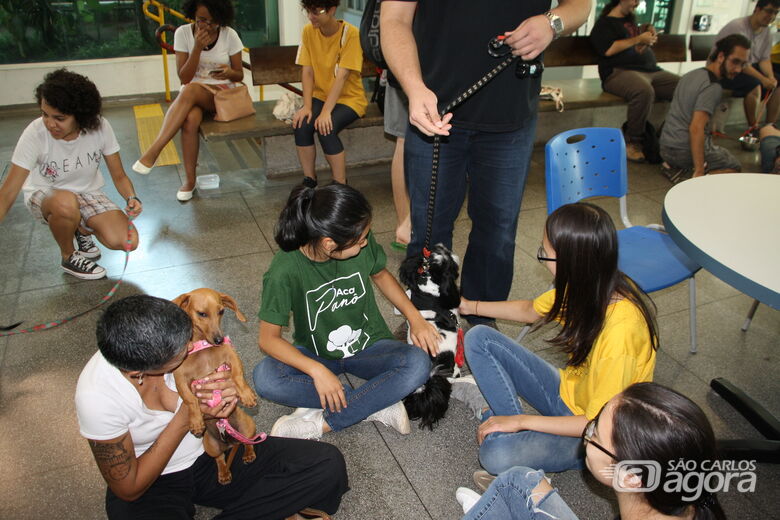 Depois do sucesso da primeira edição: vem aí o “IFSCão – 2º Dog Therapy” em São Carlos - Crédito: Divulgação