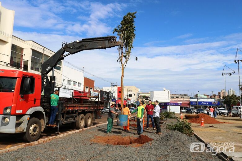 Prefeitura realiza plantio de 10 árvores nativas na Praça do Mercado Municipal - Crédito: Divulgação