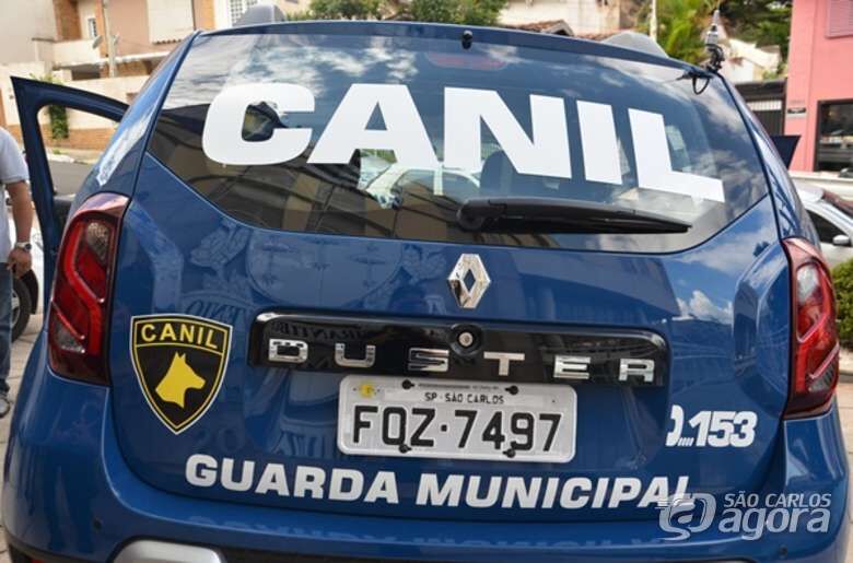 Guarda encontra mochila recheada de cocaína no Jacobucci - Crédito: Arquivo SCA