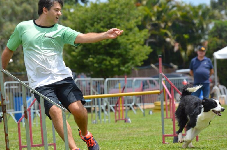 Cachorra Nina, de São Carlos, é prata no Open das Américas de Agility - Crédito: Divulgação