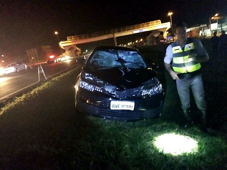 Homem morre atropelado na rodovia Washington Luis - Crédito: São Carlos Agora
