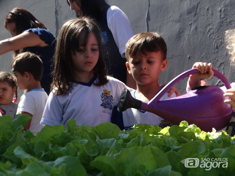 Pequenos alunos dão aula de cidadania e aprendem a cultivar hortaliças em Cemei - Crédito: Marcos Escrivani