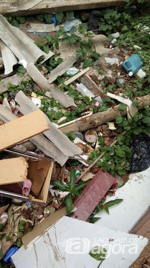 Terreno abandonado é depósito de lixo e de animais peçonhentos - Crédito: Divulgação