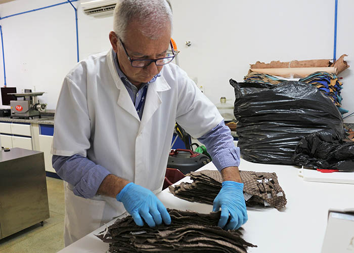 Cientistas desenvolvem protocolo para testar resistência de couros de peixes em São Carlos - Crédito: Laura Pereira