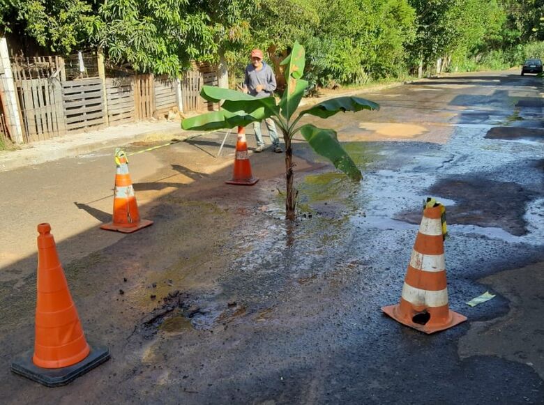 Moradores plantam bananeira próximo a vazamento de água - Crédito: Divulgação