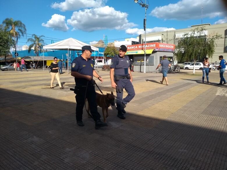 Guardas Municipais participam de curso sobre “Condução de Cães de Polícia - Crédito: Divulgação