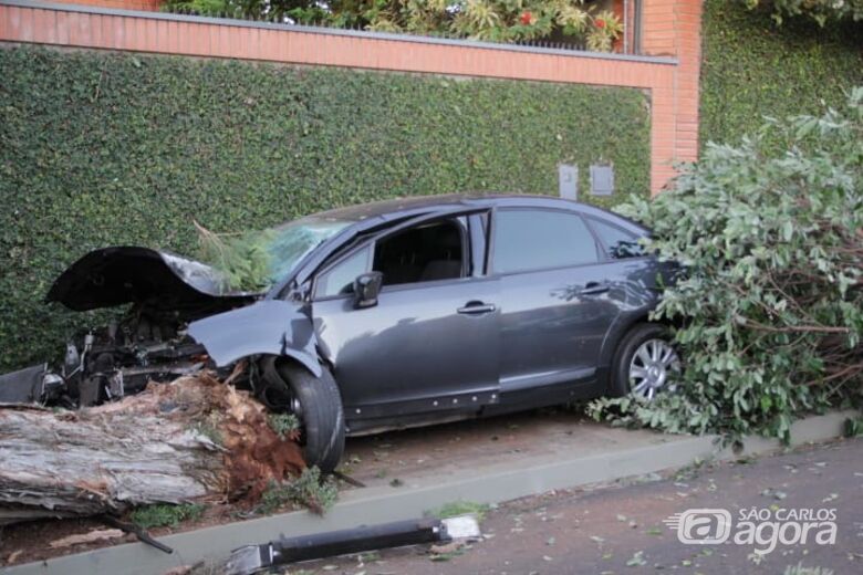 Carro bate violentamente em duas árvores e motorista foge do local - Crédito: Marco Lúcio