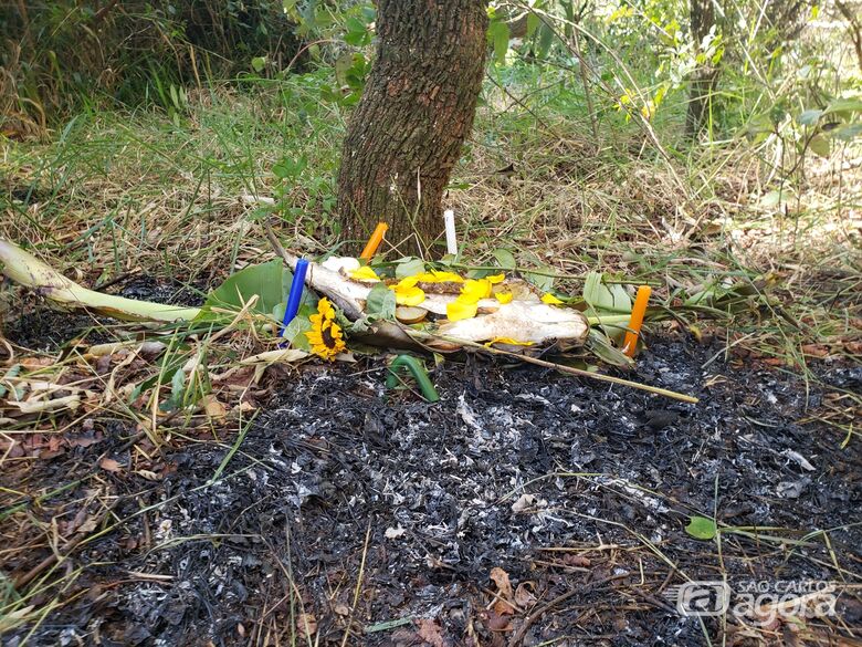 Oferenda pode ter causado incêndio em reserva florestal do Santa Felícia - Crédito: Abner Amiel/São Carlos Agora