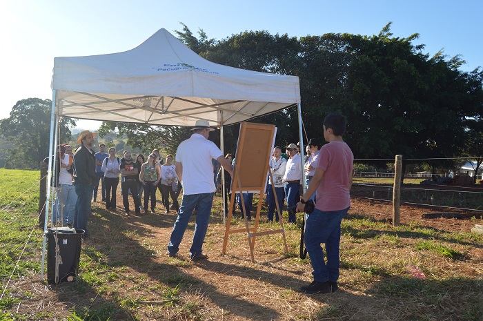 Dia de campo em São Carlos orienta participantes sobre implantação de sistemas integrados - Crédito: Gisele Rosso