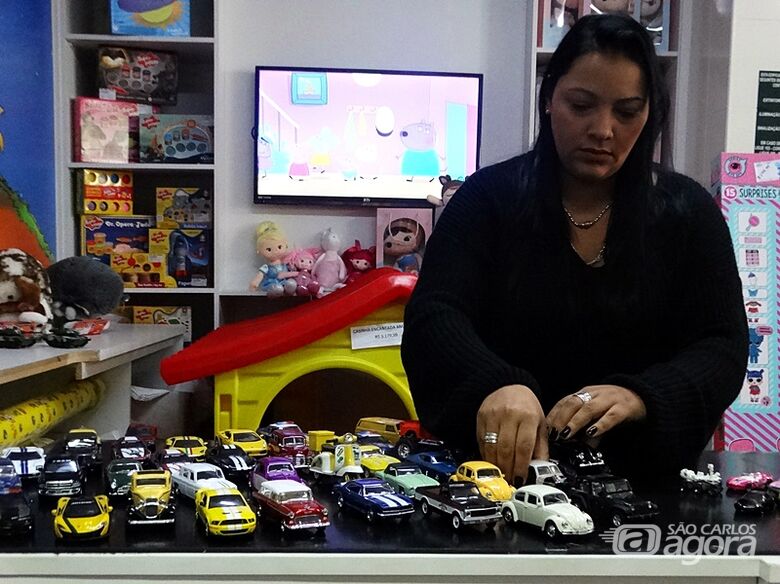 Colecionadores devem expor mais de mil miniaturas em encontro em São Carlos - Crédito: Marcos Escrivani