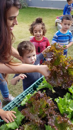 Projeto Horta na Escola faz sucesso entre as crianças - Crédito: Divulgação