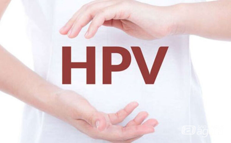 IFSC/USP São Carlos convoca voluntárias para tratamento de lesões causadas pelo vírus HPV - Crédito: Divulgação