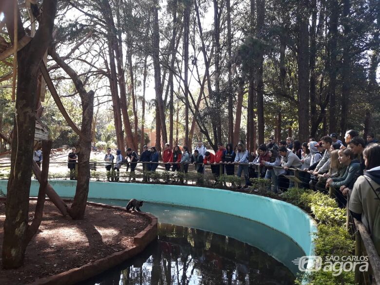 Jovens da Children's International Summer Villagesvisitam Parque Ecológico de São Carlos - Crédito: Divulgação