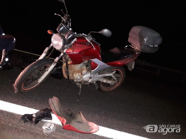 Casal em moto atropela capivara na rodovia e mulher morre - Crédito: Maycon Maximino