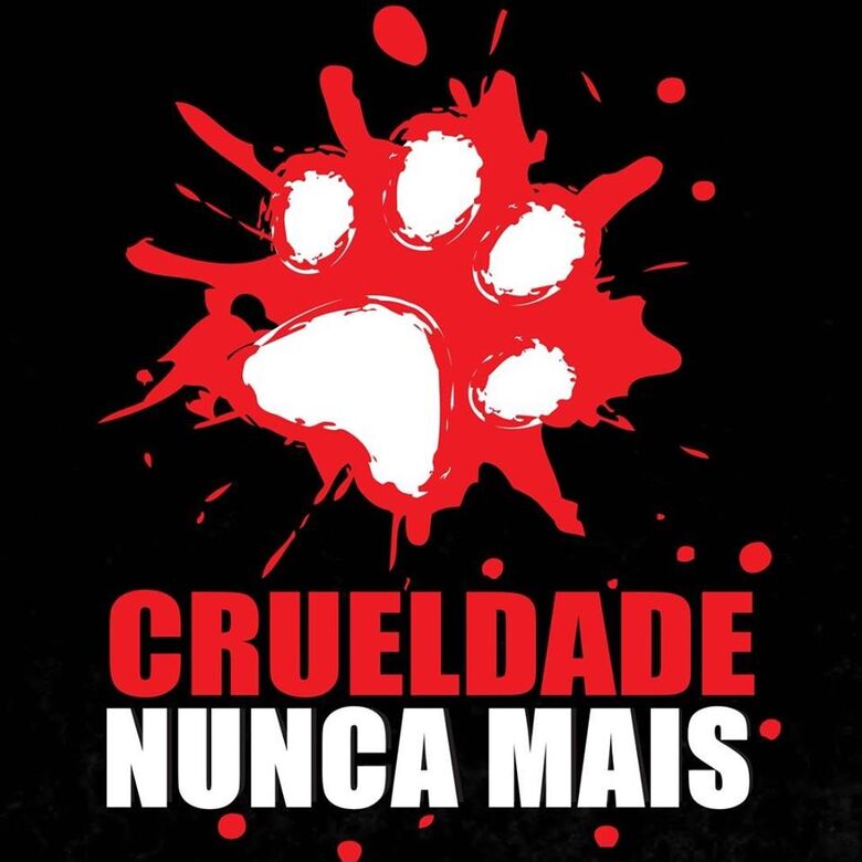Movimento em São Carlos repudia maus tratos a animais -