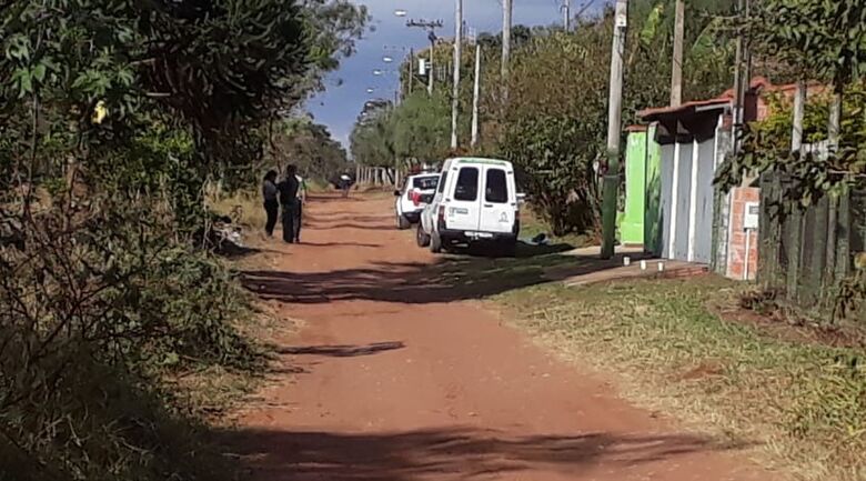 Em Água Vermelha, homem espanca cachorro a pauladas após animal atacar galinhas - Crédito: Colaborador/SCA