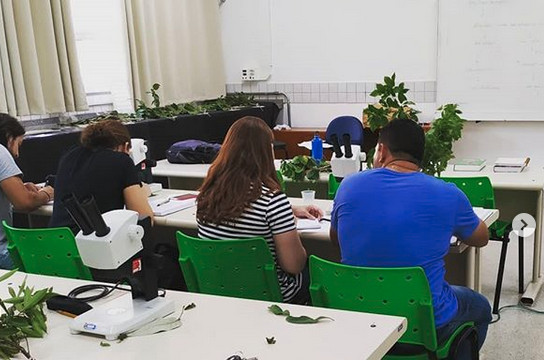 UFSCar promove curso em Restauração, Licenciamento e Adequação Ambiental - Crédito: Instagram/posrestauracaoambiental