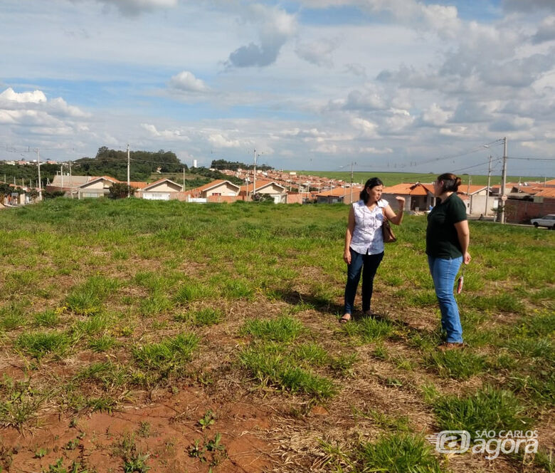 Projeto de arborização prevê plantio de 100 árvores em bairro de São Carlos - Crédito: Denise Britto - CCS