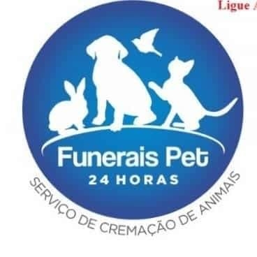 Homenagem da Funerais Pet ao cachorrinho Boby -