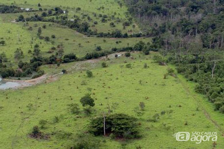 Declaração do Imposto sobre a Propriedade Territorial Rural deve ser entregue até 30 de setembro - Crédito: MMA