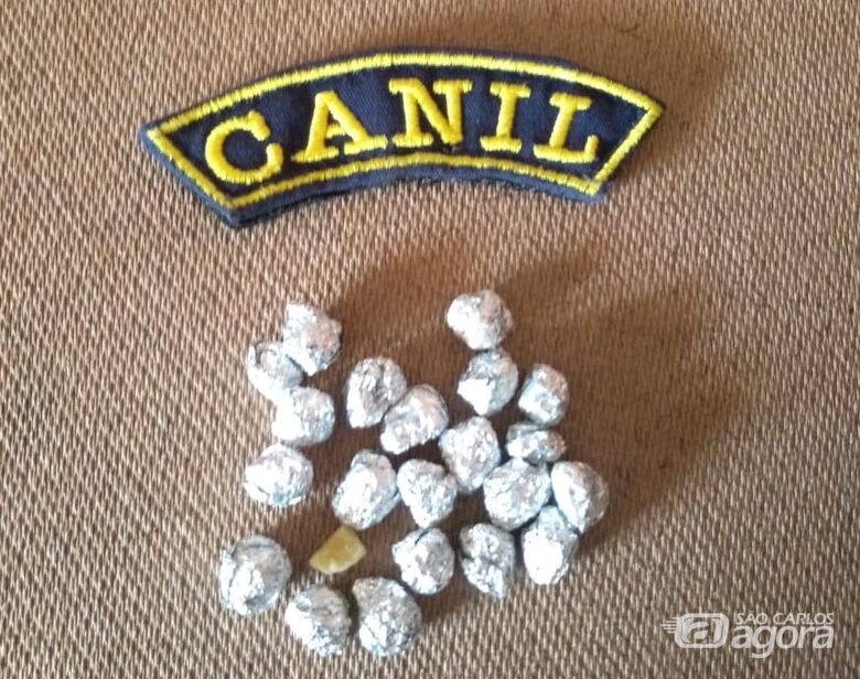 Kyara da GM localiza pedras de crack em moita no CDHU - Crédito: Divulgação