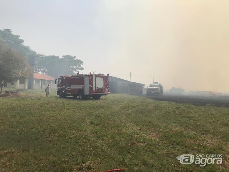 Fumaça de incêndio em mata invade a estrada do Broa e leva perigo aos motoristas - 