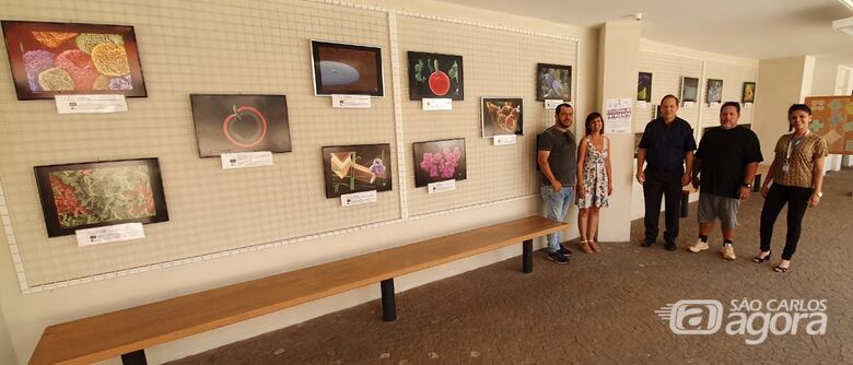 Exposição mostra mundo invisível das pequenas partículas que os olhos não alcançam -