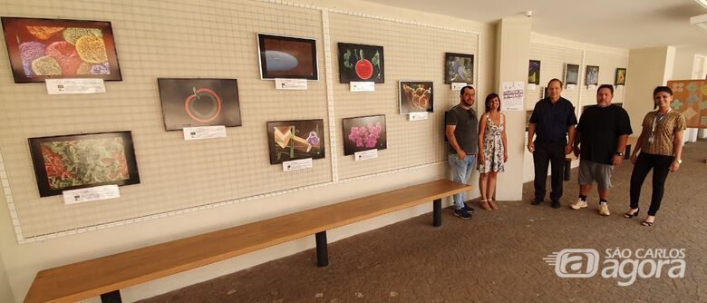 Exposição mostra mundo invisível das pequenas partículas que os olhos não alcançam - 