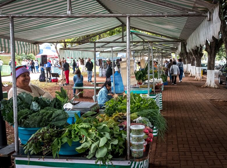 Semana da Agricultura Orgânica e Fitoterápica de São Carlos começa neste sábado - Crédito: Divulgação