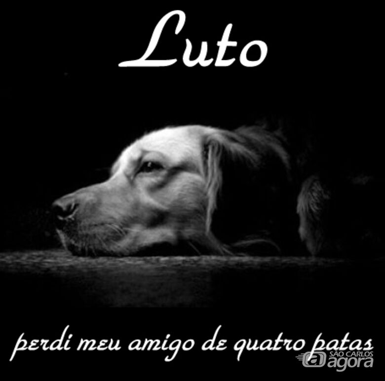 Homenagem Funerais Pet a cachorra Pantera -