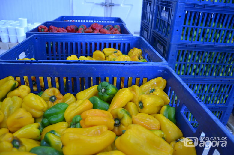 Secretaria de Agricultura retoma doação de alimentos para entidades assistenciais da cidade - Crédito: Divulgação