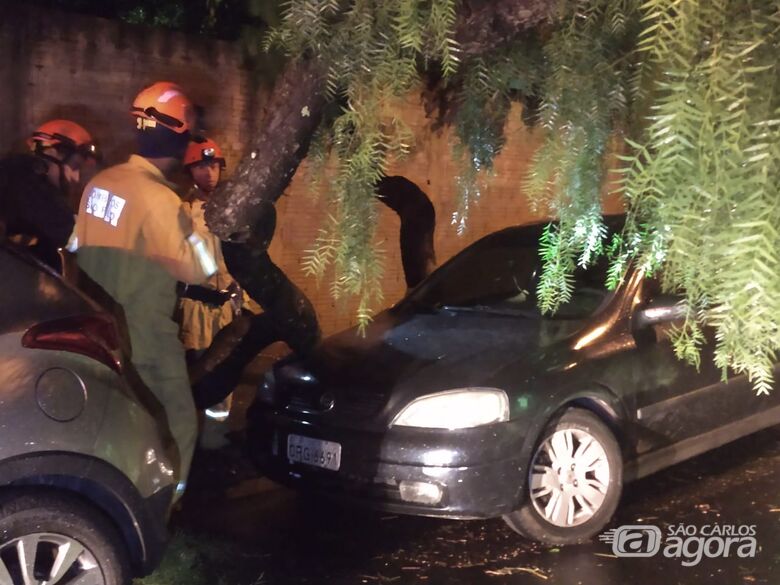 Chuva derruba árvores em cima de veículo - Crédito: Luciano Lopes