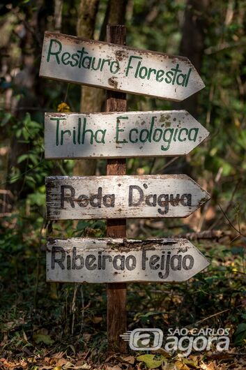 Tour Turístico: inscrições para o passeio na Escola da Floresta poderão ser feitas nos próximos dias 11 e 12 - 