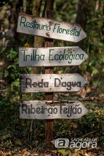 Tour Turístico: inscrições para o passeio na Escola da Floresta poderão ser feitas nos próximos dias 11 e 12 -
