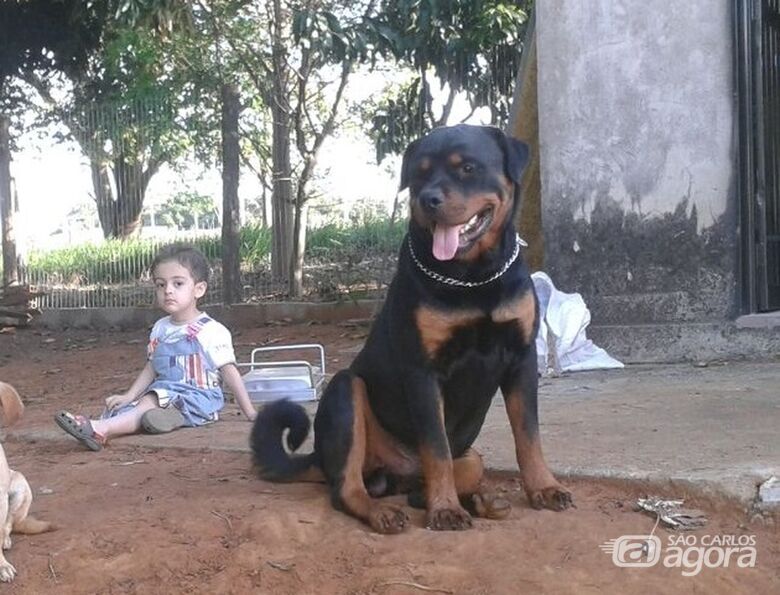 Mãe posta mensagem de despedida emocionante ao menino Enzo Menzani - Crédito: Arquivo familiar