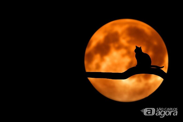 Sexta-feira 13 será de lua cheia - Crédito: Imagem de Bessi por Pixabay