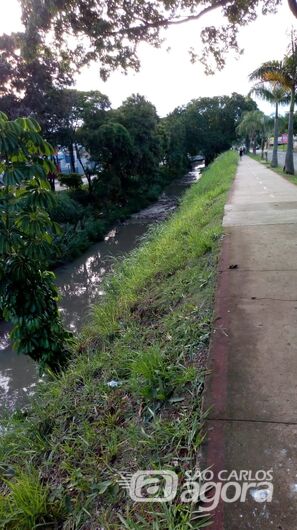 Pedestres querem guard-rail ou mureta de proteção na Marginal - Crédito: Divulgação