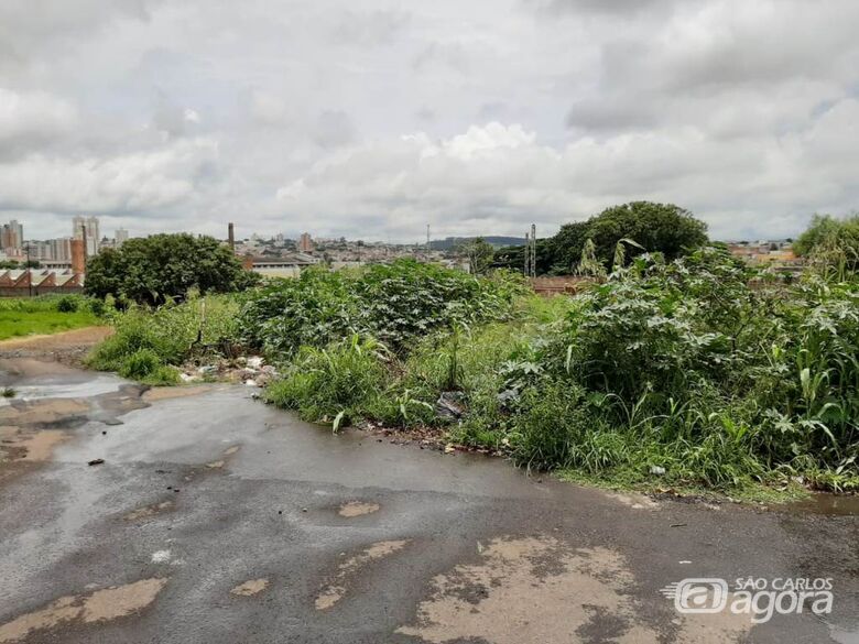 Azuaite aponta existência de depósito de lixo e situação de abandono na rua Antonio Botelho - Crédito: Divulgação