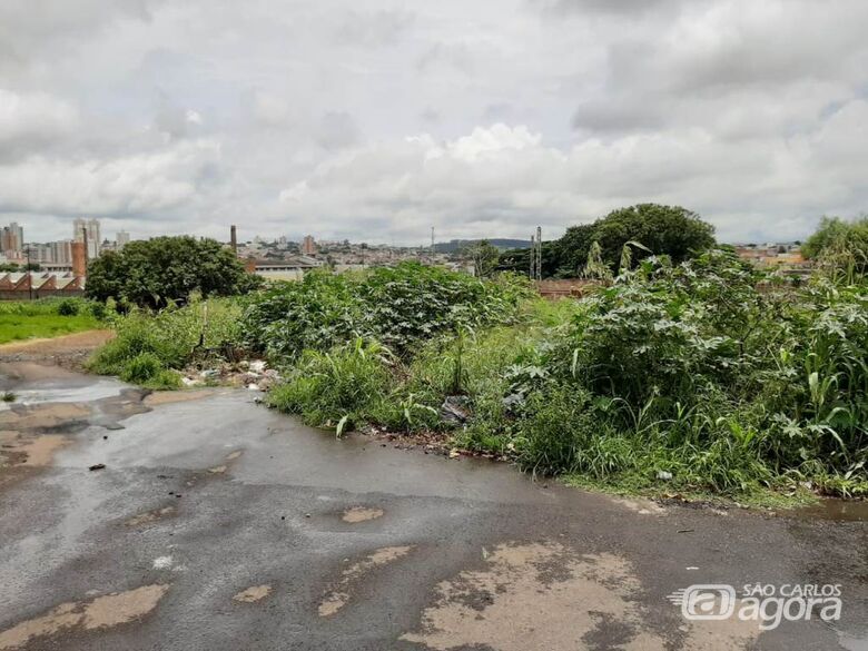 Azuaite aponta existência de depósito de lixo e situação de abandono na rua Antonio Botelho - Crédito: Divulgação