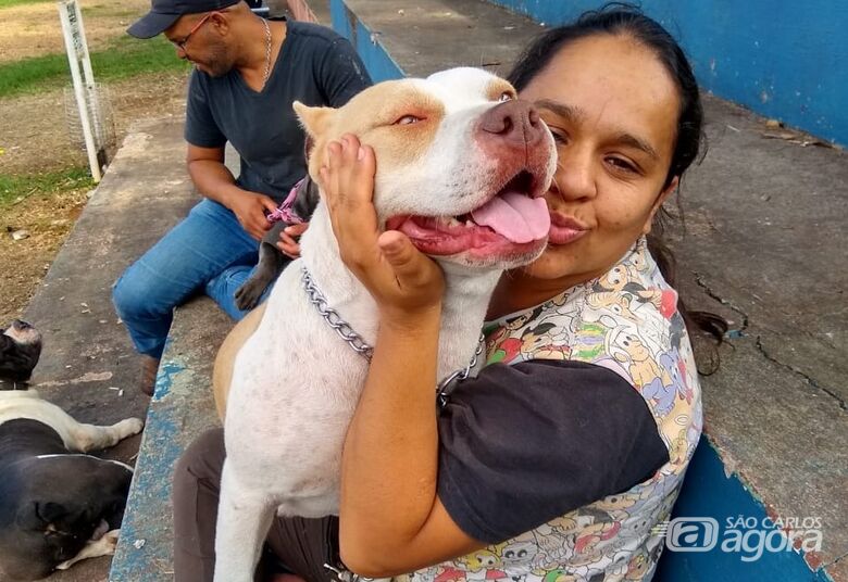 Encontro de criadores de pit bulls quer acabar com preconceito com a raça - Crédito: Divulgação