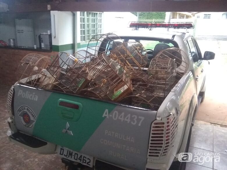 Polícia Ambiental detém acusado de manter aves silvestres em cativeiro - Crédito: Divulgação