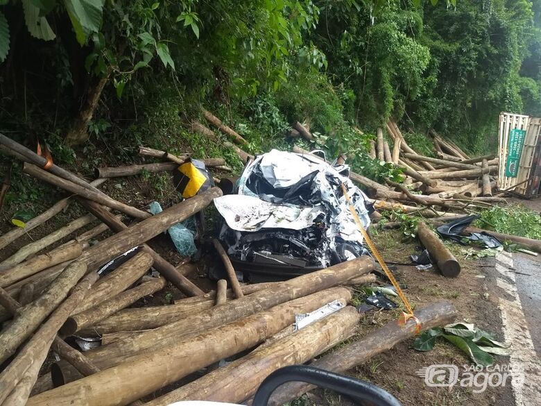 Veículo atingido pelas toras ficou destruído - Crédito: Corpo de Bombeiros