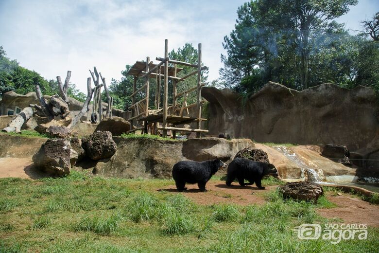 Parque Ecológico está com inscrições abertas para a programação especial de férias - 