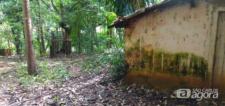 Polícia Ambiental apreende armadilhas ilegais em Itirapina; lobo-guará era mantido em cativeiro - Crédito: Divulgação