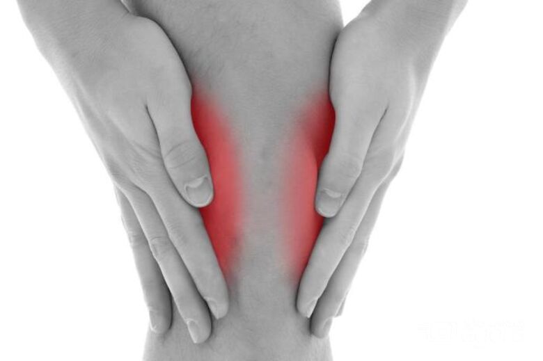 Pesquisa da UFSCar investiga associação de terapias para tratar artrose do joelho - Crédito: Divulgação